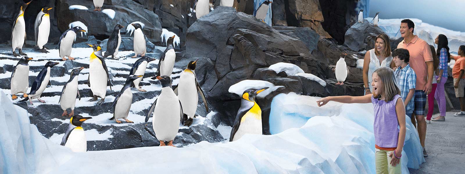 Antarctica Empire Of The Penguin Florida Parks