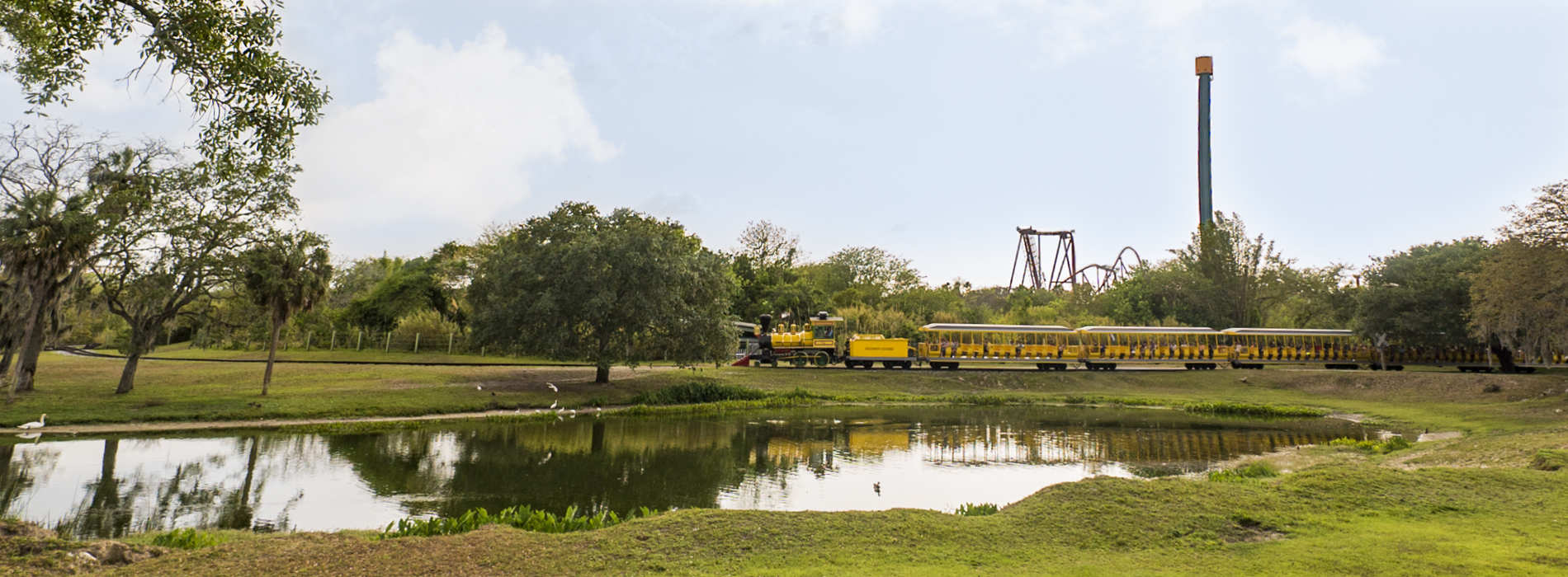 Serengeti Express Train