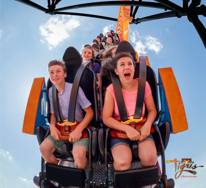 Busch Gardens announces new multi-launch thrill ride: Tigris