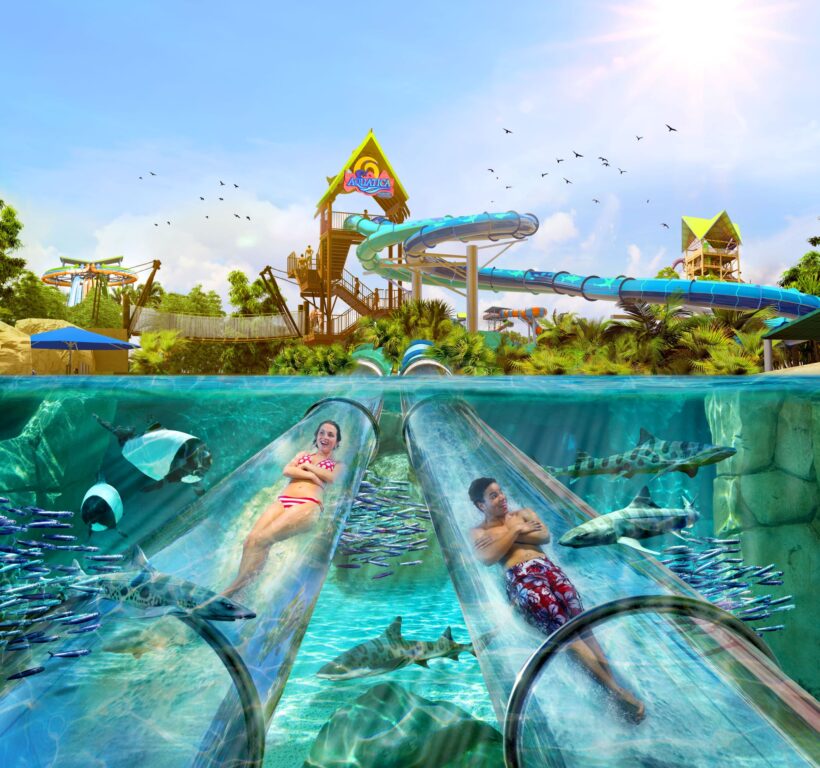 Aquatica Orlando Dives into Spring with ALL-NEW Reef Plunge Now Open