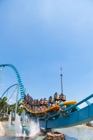 SeaWorld Orlando: Pipeline surf coaster to open in May