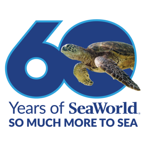 SeaWorld Launches 60th Anniversary Celebrations thumbnail image